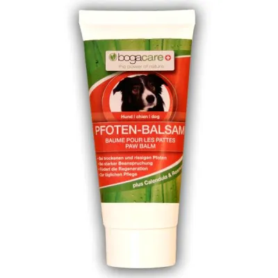 Bild: Sanfte Pfoten trotz Streusalz, Schnee und Eis...