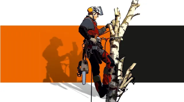 Bild: Die unsichtbare Gefahr nach dem Sturm: Warum Baumpflege im Winter aktiver Bodenschutz ist