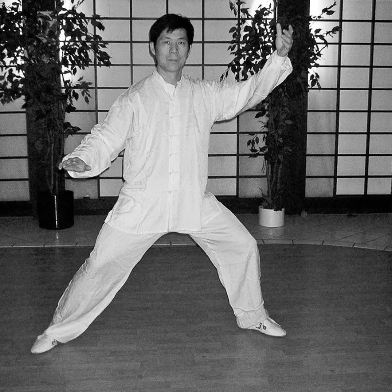 Prof. Dr. Teng Jian aus Beijing wird die Qigong-Form 'Das Spiel der 5 Tiere' in Frankfurt unterrichten