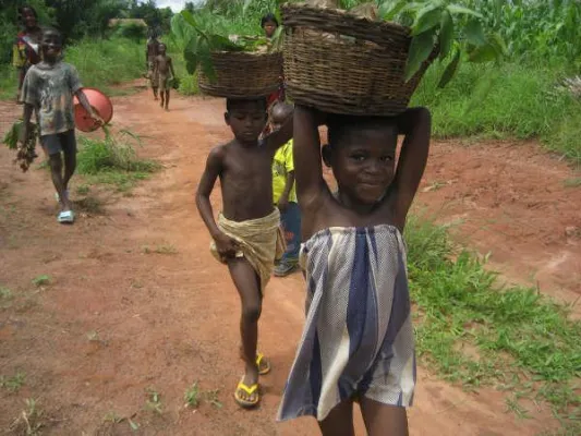 Die beste Zeit, einen Baum zu pflanzen, war vor 20 Jahren - die zweitbeste Zeit ist heute - afrik. Weisheit Bild: Die beste Zeit, einen Baum zu pflanzen, war vor 20 Jahren - die zweitbeste Zeit ist heute - afrik. Weisheit