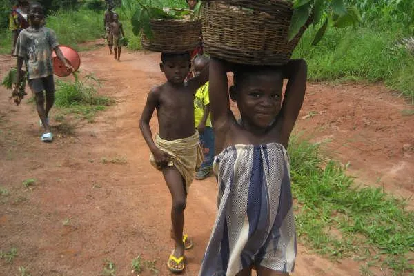 Die beste Zeit, einen Baum zu pflanzen, war vor 20 Jahren - die zweitbeste Zeit ist heute - afrik. Weisheit Bild: Die beste Zeit, einen Baum zu pflanzen, war vor 20 Jahren - die zweitbeste Zeit ist heute - afrik. Weisheit