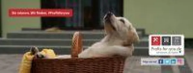 Bild: Geiz ist geil…