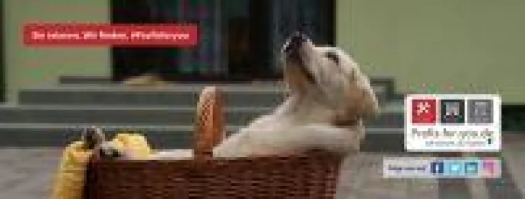 Bild: Geiz ist geil…