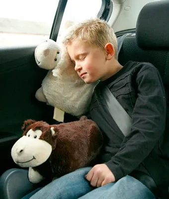 Bild: Kuscheltiere verwandeln sich zu Kuschelkissen - Ab sofort sind Pillow Heads in Deutschland erhältlich