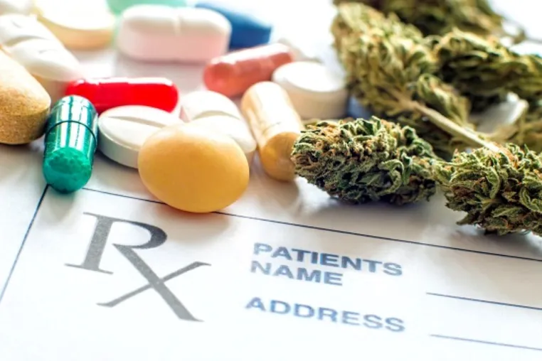 Live-Webseminarreihe zu medizinischem Cannabis von Februar bis April 2022 Bild: Live-Webseminarreihe zu medizinischem Cannabis von Februar bis April 2022
