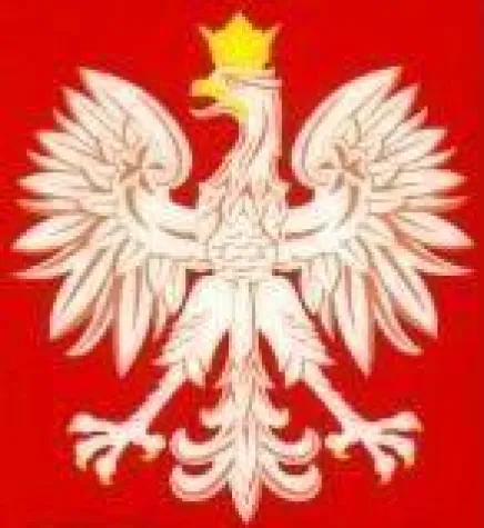 Bild: Polen verliert nicht an Optimismus - Jahresergebnisse 2008 und Prognose für 2009