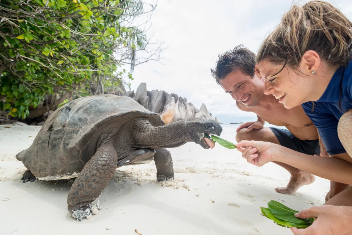 Silhouette Cruises startet im Mai 2026 zu einer Expeditions-Kreuzfahrt auf das Aldabra-Atoll (© Foto Silhouette Cruises)