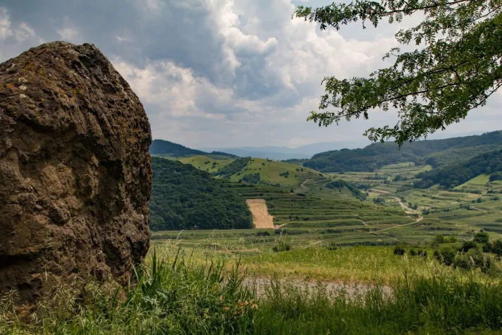 Bild: Mit 3G und gesundem Menschenverstand einen unvergleichlichen Urlaub genießen