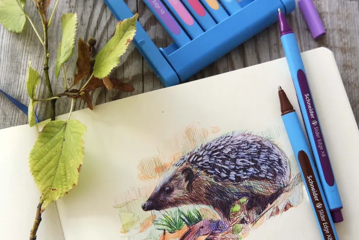 Gemeinsam Zukunft schreiben: Erfolgreicher Shop-Relaunch bei Schneider Schreibgeräte Bild: Gemeinsam Zukunft schreiben: Erfolgreicher Shop-Relaunch bei Schneider Schreibgeräte