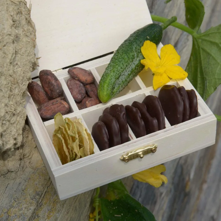 Die Edelmond Chocolatiers stellen mit feinster Schokolade überzogene Gurkenchips her