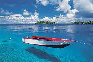 Tahiti: Mit Zitronenhaien, Buckelwalen und Leopardenrochen tauchen Bild: Tahiti: Mit Zitronenhaien, Buckelwalen und Leopardenrochen tauchen