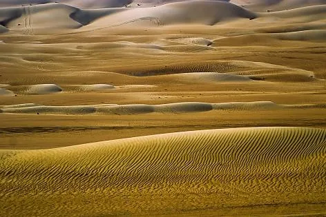 Bild: „Wahiba Sands“ und „YelloPond“ im International Contemporary Artist's Art Book