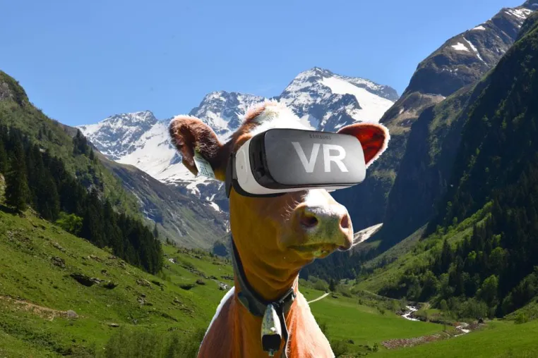 Bild: allSight Pages: Websites in 360°