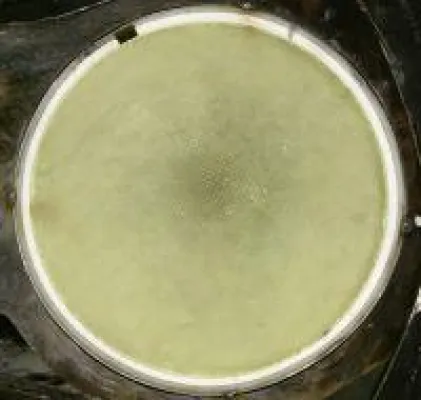 Bild: Reinigung oder Instandsetzung? Was ist die richtige Lösung für Ihren Nutzfahrzeug Katalysator?