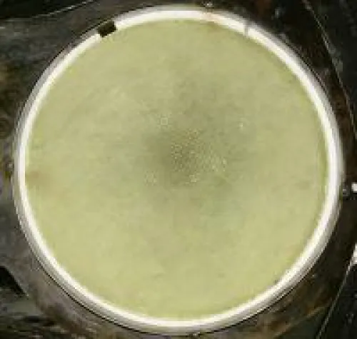 Bild: Reinigung oder Instandsetzung? Was ist die richtige Lösung für Ihren Nutzfahrzeug Katalysator?