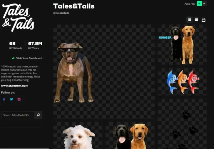 Bild: 67 Millionen Views mit eigenen Hunde-GIFs