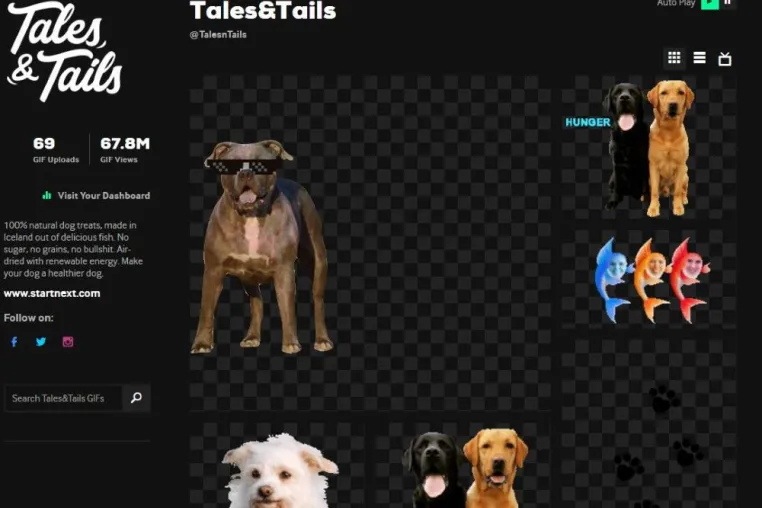 67 Millionen Views mit eigenen Hunde-GIFs Bild: 67 Millionen Views mit eigenen Hunde-GIFs