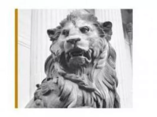 Schrottimmobilien: Wenn der Pleitengeier vor der Tür steht - Rechtsanwälte informieren Bild: Schrottimmobilien: Wenn der Pleitengeier vor der Tür steht - Rechtsanwälte informieren