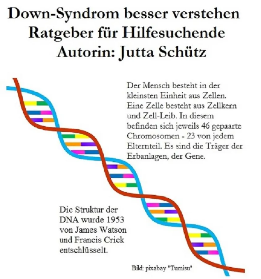 Down-Syndrom Ratgeber