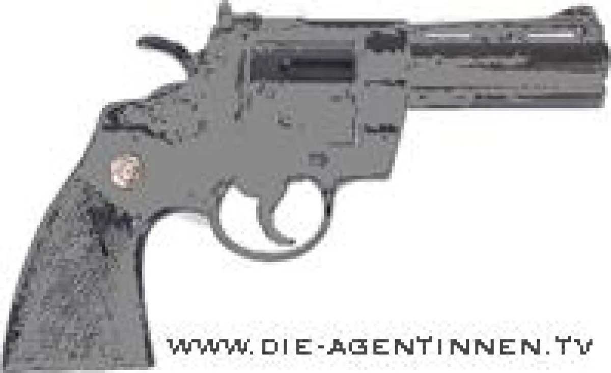 die Agentinnen sind online!