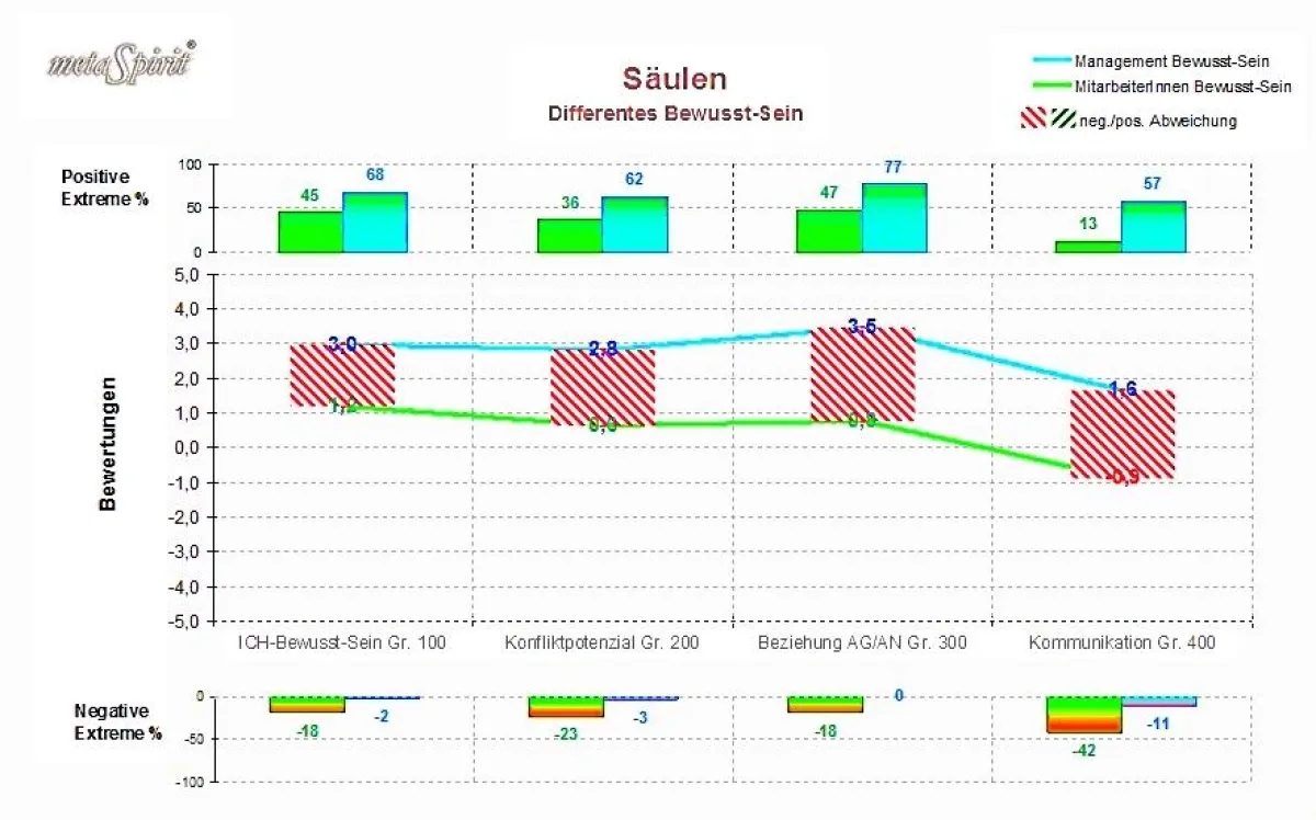 Gruppierung der Auswertung nach den vier Säulen