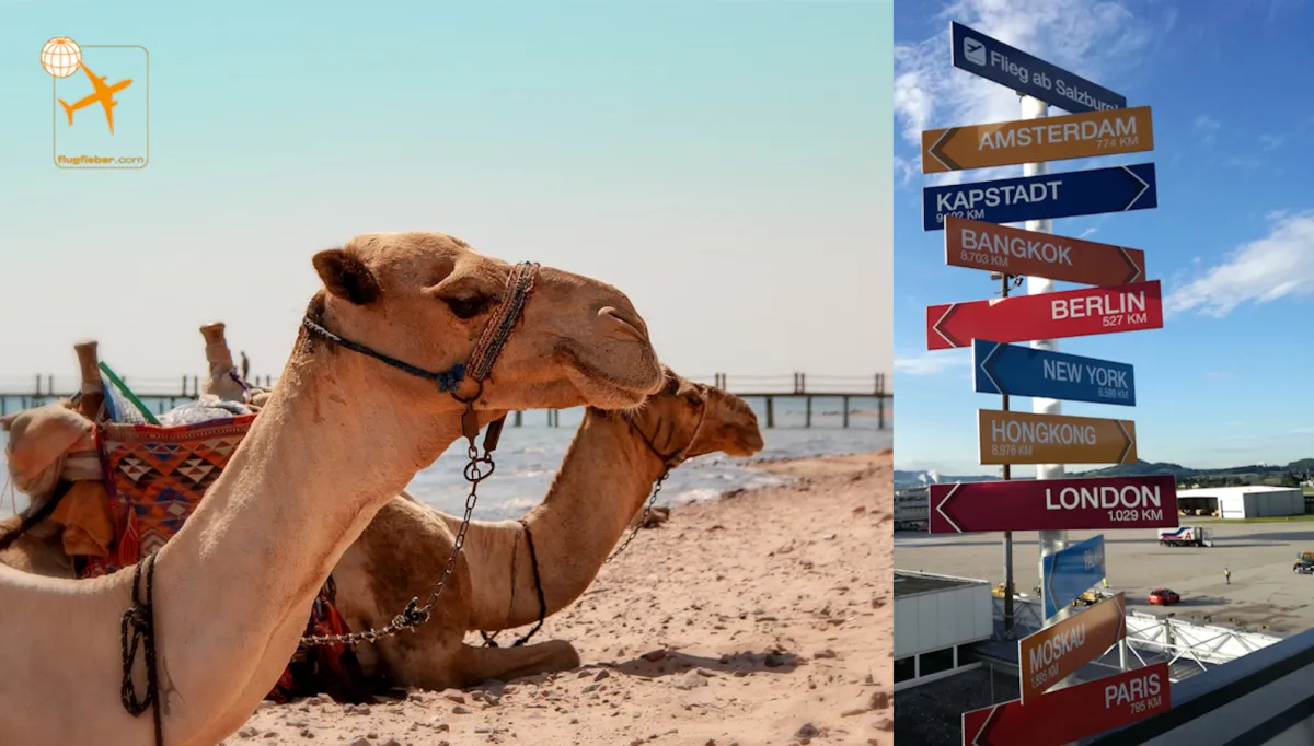 Erstmals Direkflüge ab dem Flughafen Salzburg nach Marsa Alam (© Alfred Rohrmoser)