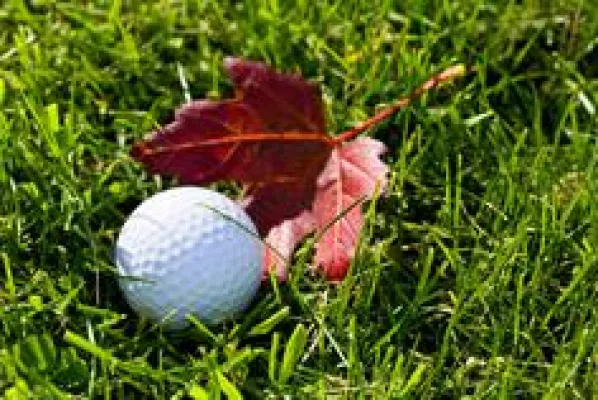 Bild: Golf – Trendsport für jede Lebens- und Wetterlage