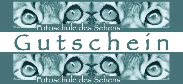 Bild: Nicht nur zur Weihnachtszeit: Geschenkgutscheine für Fotofreunde