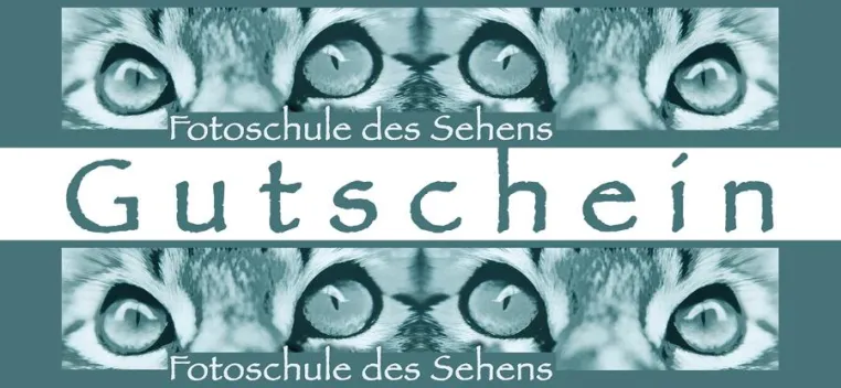 Nicht nur zur Weihnachtszeit: Geschenkgutscheine für Fotofreunde Bild: Nicht nur zur Weihnachtszeit: Geschenkgutscheine für Fotofreunde