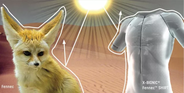Bild: Runningwear nach dem Vorbild des Wüstenfuchses Fennec von X-BIONIC