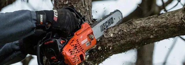 Neue Spezialsäge für den Baum: Flexibler, leichter, schneller! Bild: Neue Spezialsäge für den Baum: Flexibler, leichter, schneller!