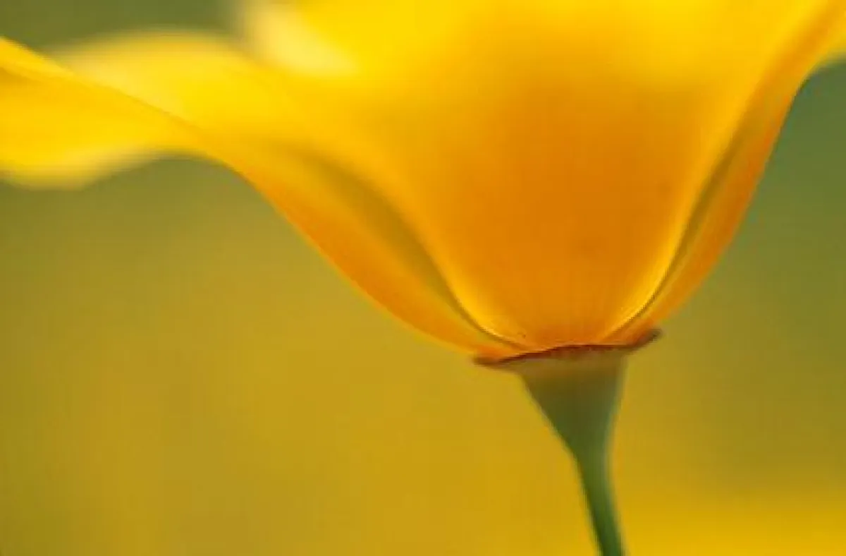 Foto: Markus Botzek (GDT)