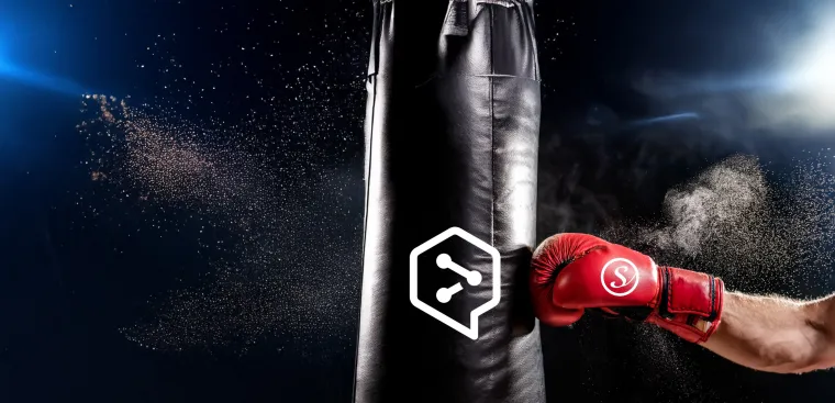 MultiSearch schlägt DeepL: Diese Funktionen gibt es nur bei Schmieder. Bild: MultiSearch schlägt DeepL: Diese Funktionen gibt es nur bei Schmieder.