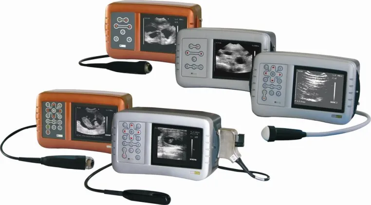 Schnell und zuverlässig: Trächtigkeitskontrolle per Ultraschall Bild: Schnell und zuverlässig: Trächtigkeitskontrolle per Ultraschall