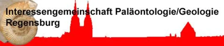 Bild: Interessengemeinschaft Paläontologie geht in Winterpause