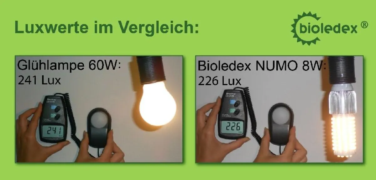 Luxwerte einer 60W Glühbirne und einer 8W NUMO von BIOLEDEX im Vergleich