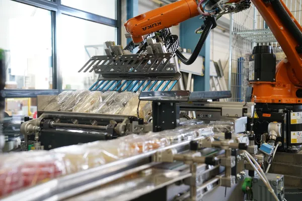 Bild: Automatisierte Verpackungslinien & Palettierungsanlagen für Pharmaproduktion