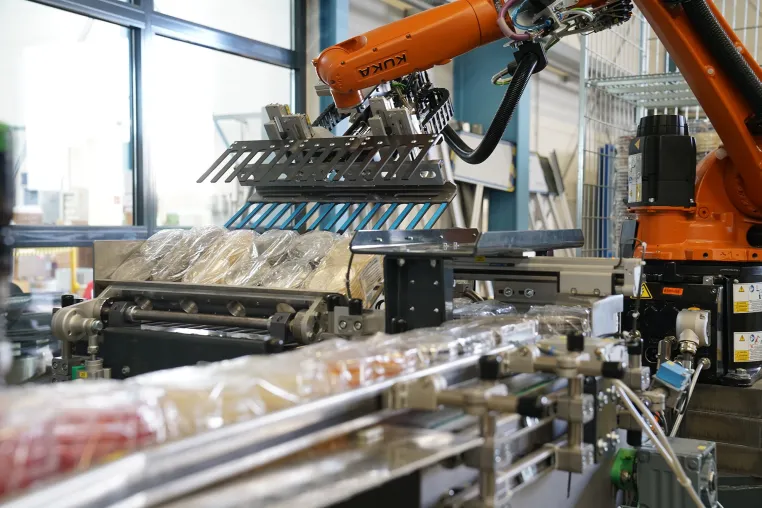 Bild: Automatisierte Verpackungslinien & Palettierungsanlagen für Pharmaproduktion