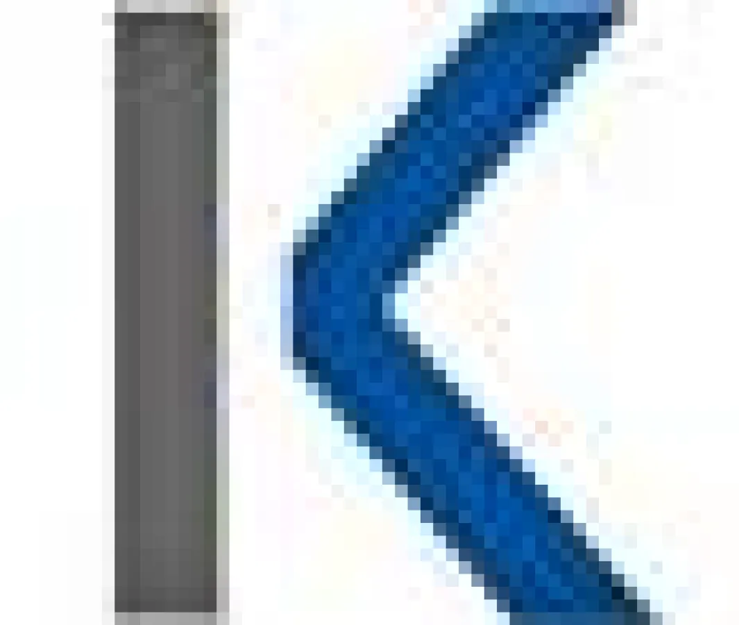 Projektmanagement-Spezialisten