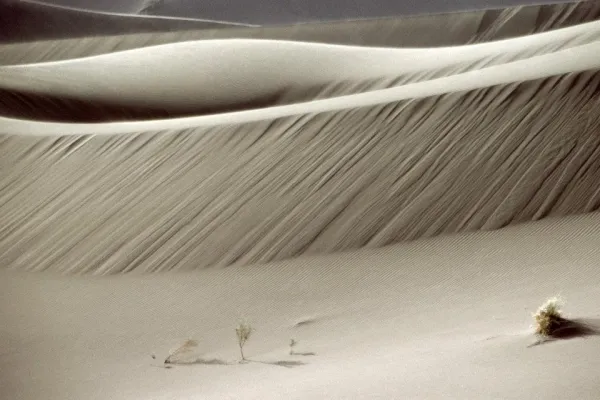 Bild: 1. Bliss Festival: Ein Blick Iran - Moin und Salam