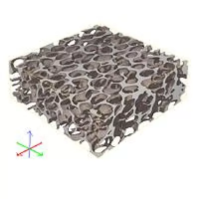 Bild: Carl-Zeiss-Stiftung fördert neue Mathematik-Juniorprofessur an der TU Kaiserslautern