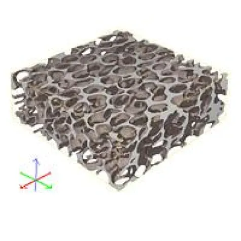 Bild: Carl-Zeiss-Stiftung fördert neue Mathematik-Juniorprofessur an der TU Kaiserslautern