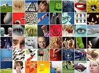 Bild: Pitopia: Über 50.000 Bilder zum Festpreis.