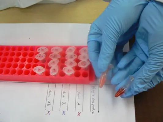 Bild: MINT AG an der IGS Contwig nimmt an Workshops der FH Kaiserslautern teil