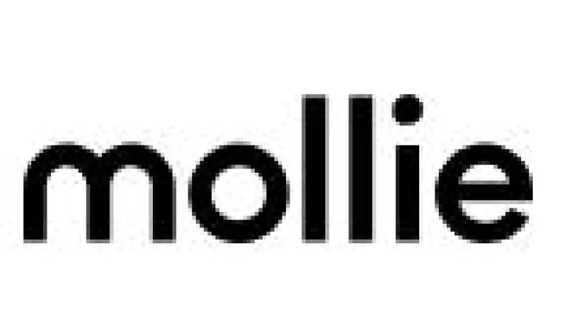 Bild: Simplizität trifft auf Flexibilität im E-Commerce: Mollie und Klarna intensivieren Zusammenarbeit