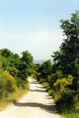 Bild: Auf den Spuren des Heiligen Franziskus - Osterwanderungen in Umbrien