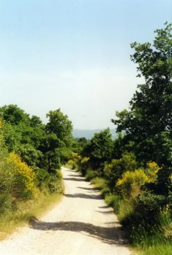 Bild: Auf den Spuren des Heiligen Franziskus - Osterwanderungen in Umbrien