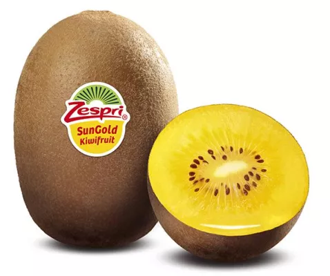 Bild: SunGold Kiwi: So viel Vitamin C wie drei Orangen
