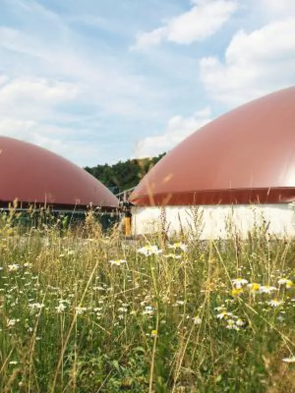 Biogasanlage Hallerndorf_alle Rechte NATURSTROM AG