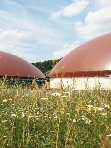 Bild: Zwei Jahre Praxis zeigen: Biogas mit Kleegras rundum nachhaltig
